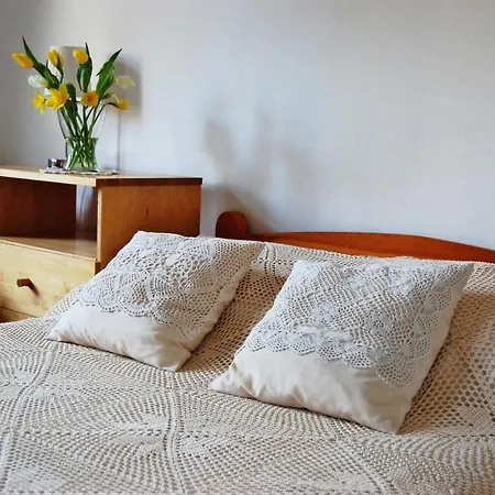 Oaza Pod Strzecha Klimatyczny Dom Z 3 Sypialniami Na Wylacznosc Z Kominkiem I Duzym Ogrodem Apartment