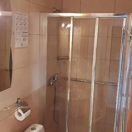 Pensjonat Janosik Ii *