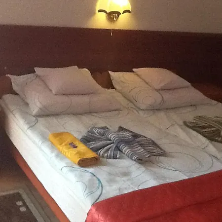 Adare Homestay *