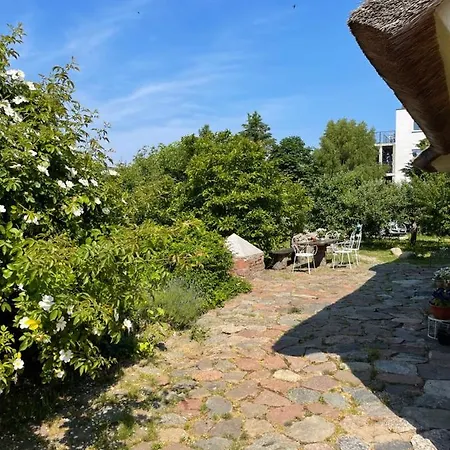 Apartment Oaza Pod Strzecha Klimatyczny Dom Z 3 Sypialniami Na Wylacznosc Z Kominkiem I Duzym Ogrodem *