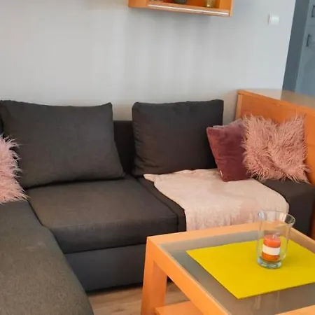Apartment Zachodnia 1 *
