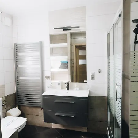 Pod Brzozami Targowa Apartment *