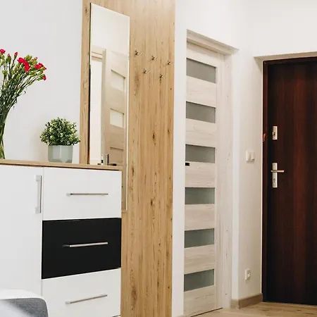 Pod Brzozami Wiejska Apartment
