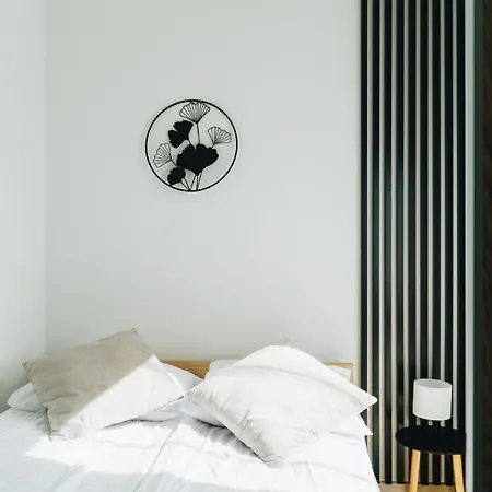Apartment Pod Brzozami Wiejska