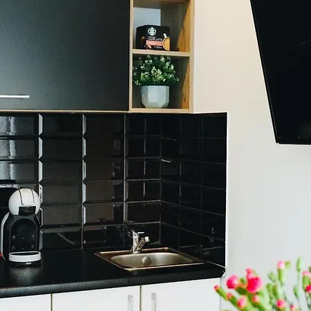 Pod Brzozami Wiejska Apartment