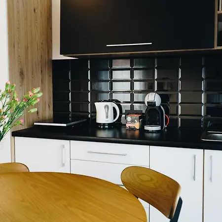 Pod Brzozami Wiejska Apartment