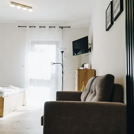 Apartment Pod Brzozami Wiejska *