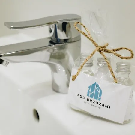 Pod Brzozami Wiejska Apartment *