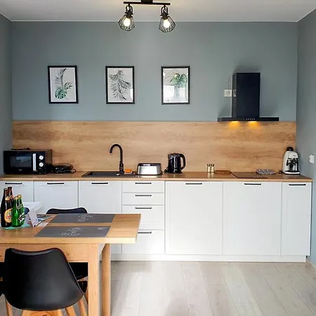 Pod Brzozami Gorna Apartment *