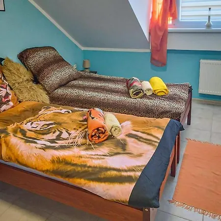 Kolorowa Chata Guest house *