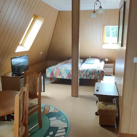 Baltyk Guest house *