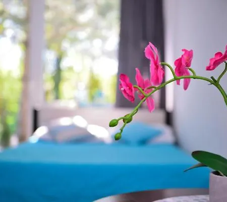 Blekitne Tarasy Bed & Breakfast Ustronie Morskie