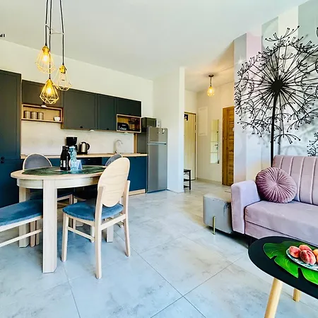 Pod Brzozami Sloneczne Apartment Ustronie Morskie