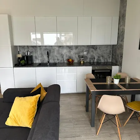 Sloneczne Viki Apartment *