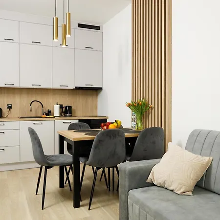 Apartment Ustronnie Premium Z Mini *