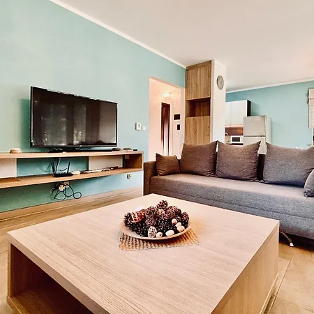 Apartment Pod Brzozami Bratek & Irys
