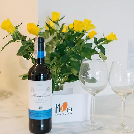 Summer Lofts Premium Double With Sea View Apartment Ustronie Morskie