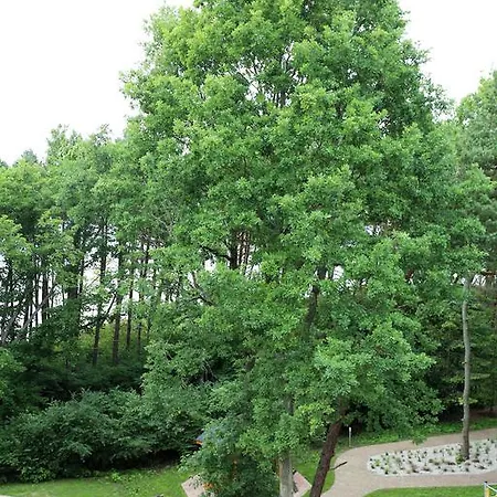 Apartamentowiec Dwie Sosny Apartment *