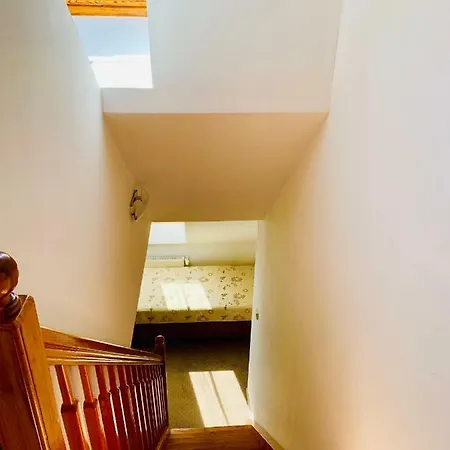 Bed & Breakfast Azalia *