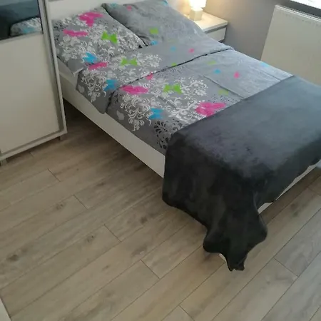I Biala Hortensja * Ustronie Morskie