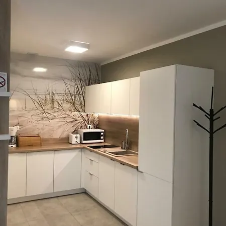 Caloroczne Domki Wakacyjne Irys & Bratek - 365pam Holiday home Ustronie Morskie