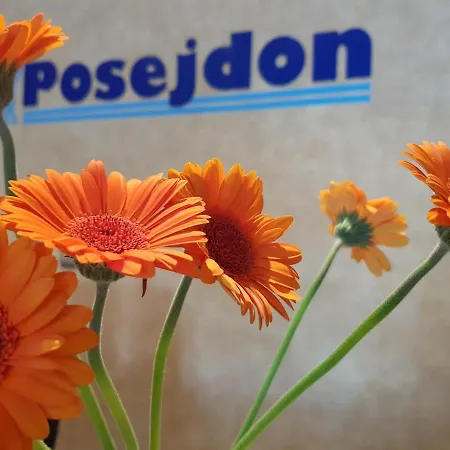 Posejdon